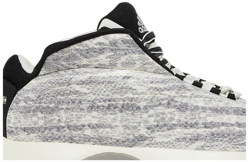 adidas Crazy 1 Snakeskin