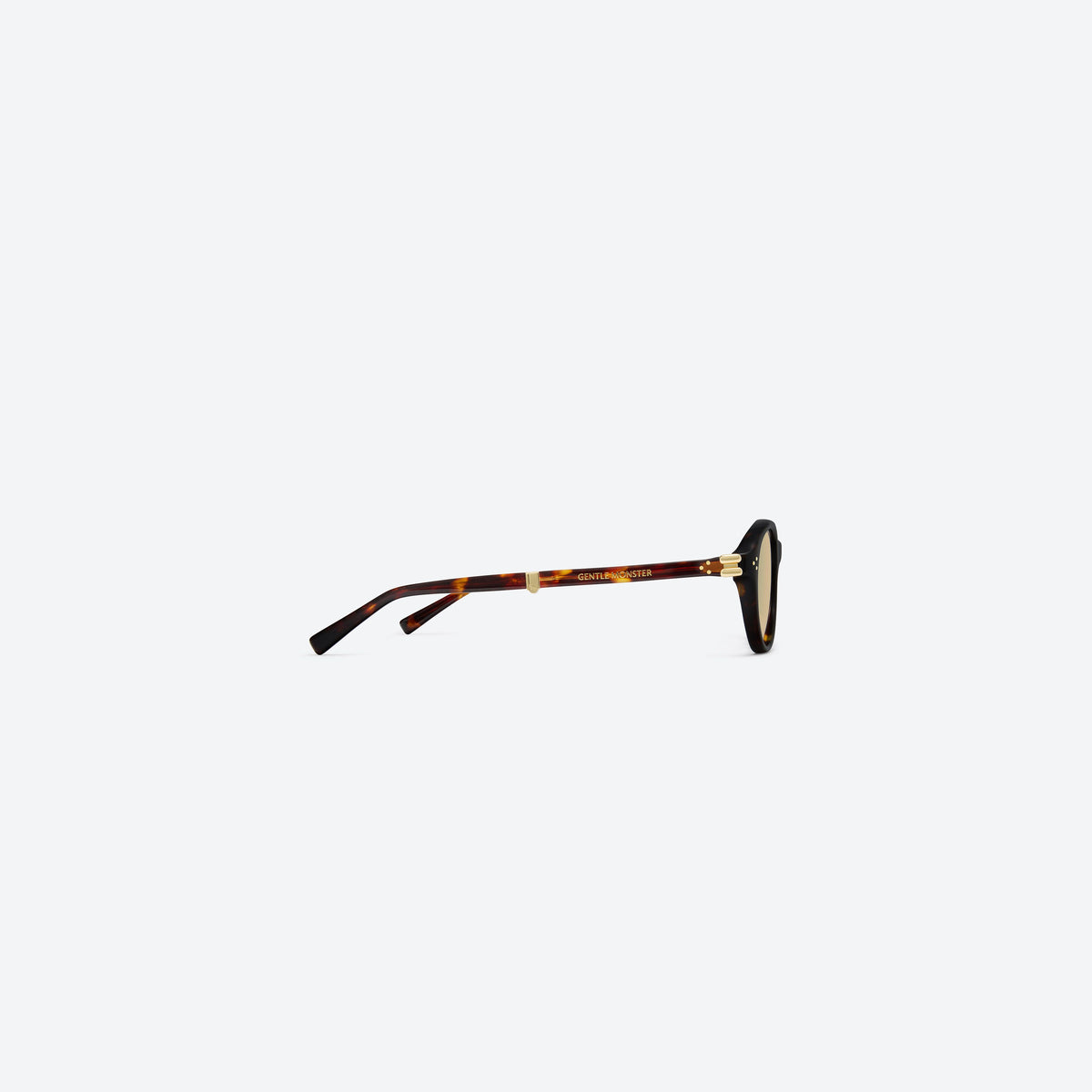 Gentle Monster Harv T1 Tortoise / Brown