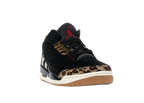Nike Air Jordan 3 Retro SE Animal Instinct