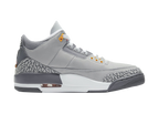 Nike Air Jordan 3 Retro Cool Grey (2021)