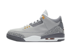 Nike Air Jordan 3 Retro Cool Grey (2021)