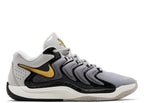 Nike KD 17 Light Iron Ore Metallic Gold