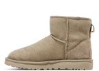 UGG Classic Mini II Boot Mustard Seed (W)