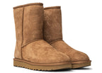 UGG Classic Short II Boot Chestnut (W)
