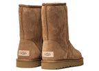 UGG Classic Short II Boot Chestnut (W)