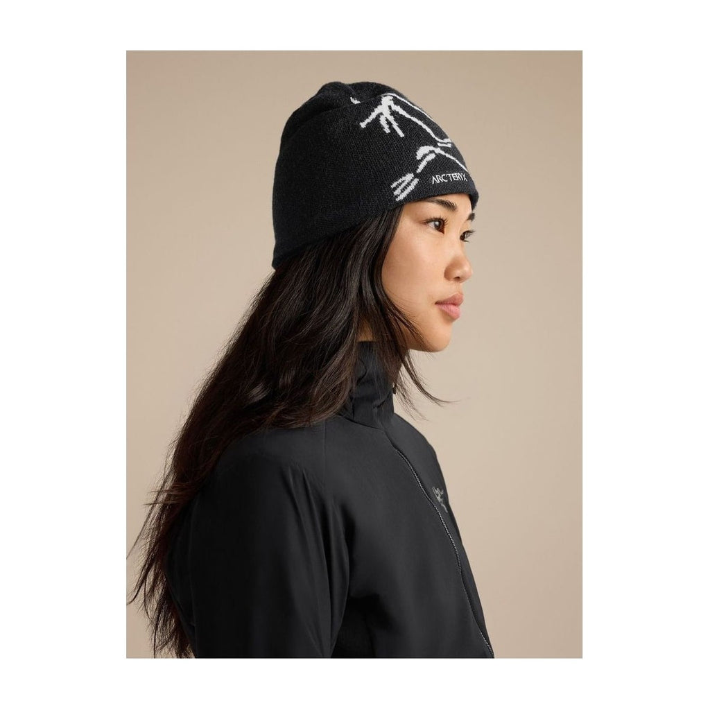 Arc'teryx Bird Head Toque Orca