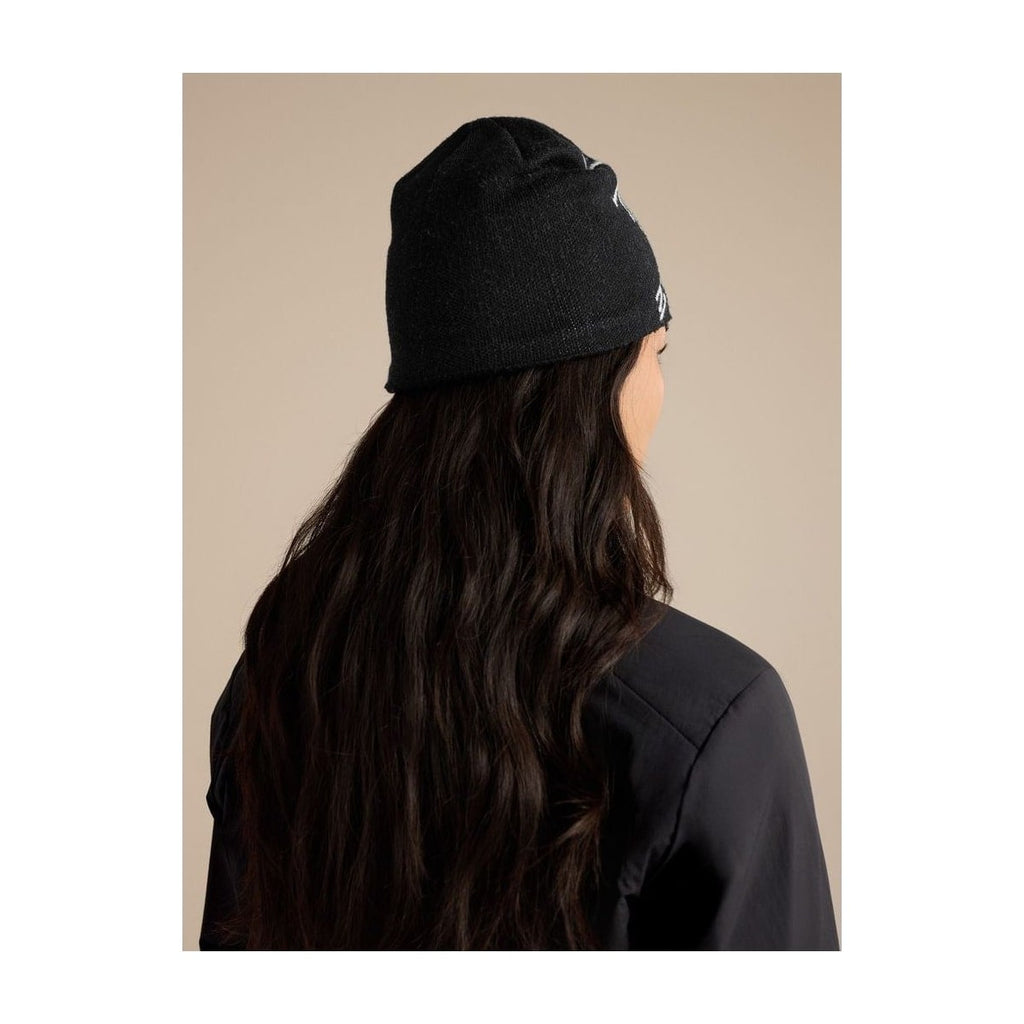 Arc'teryx Bird Head Toque Orca