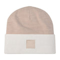Arc'teryx Colour Block Toque Rune/Arctic Silk