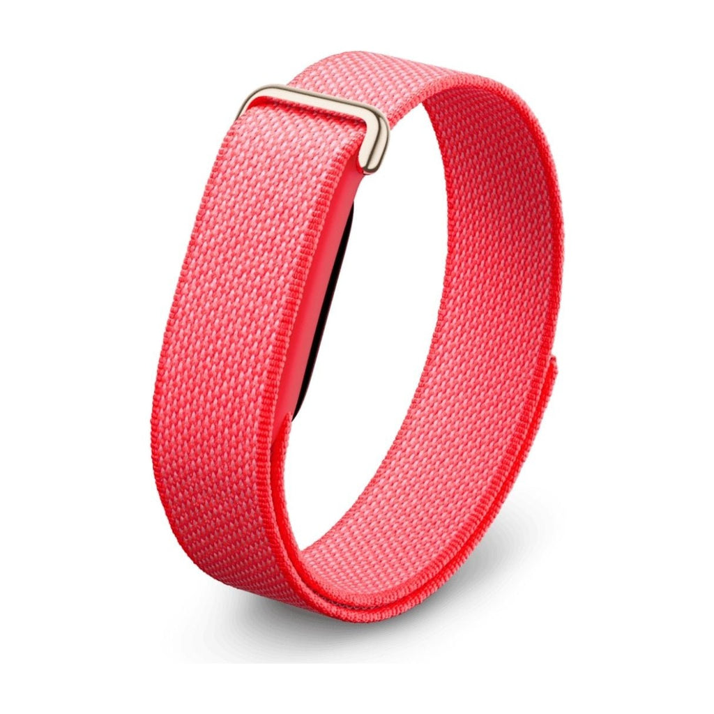 Google Fitbit Air Berry
