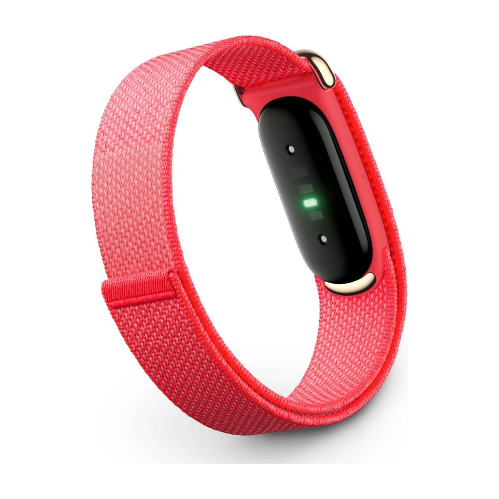 Google Fitbit Air Berry