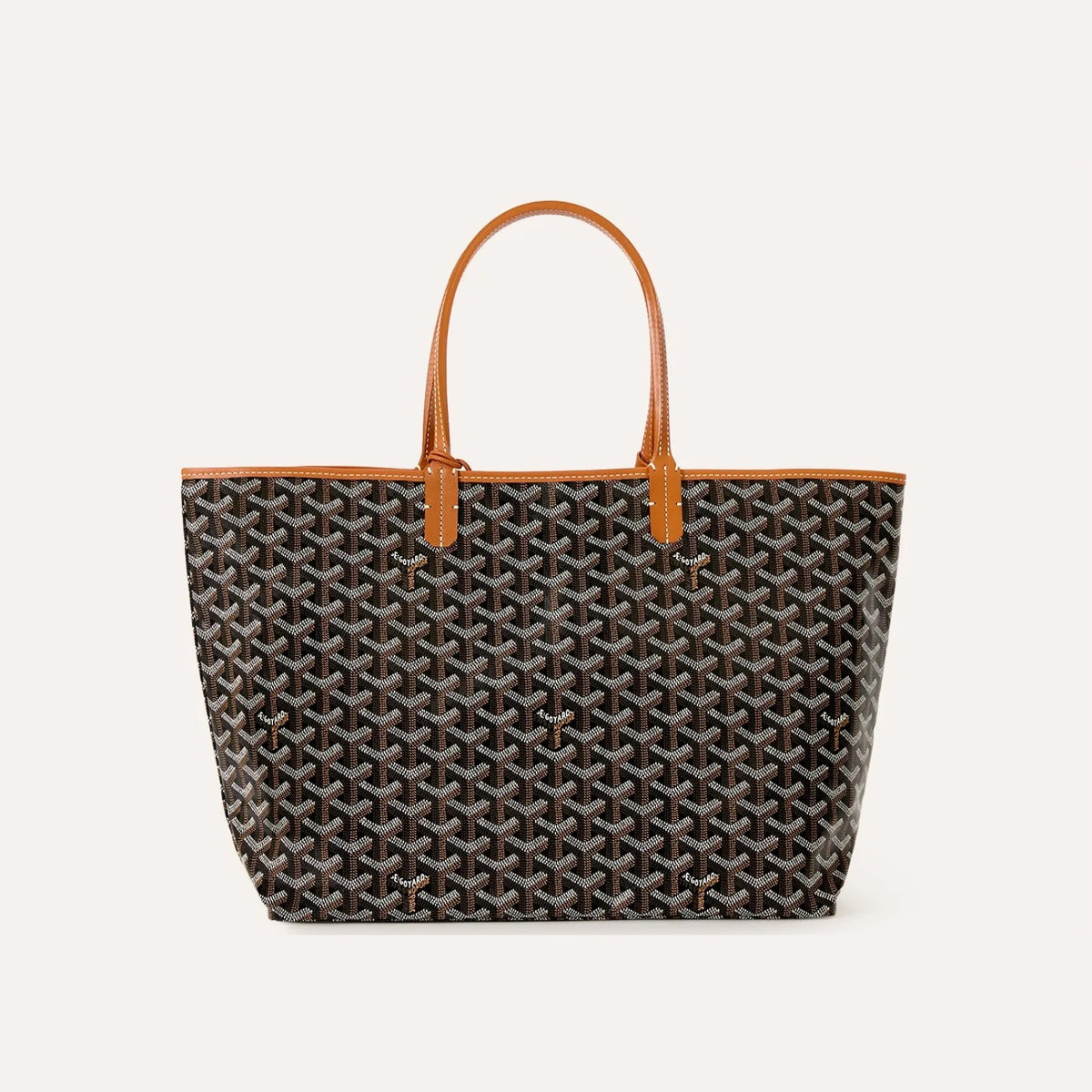 Goyard Saint Louis PM Bag Black & Tan
