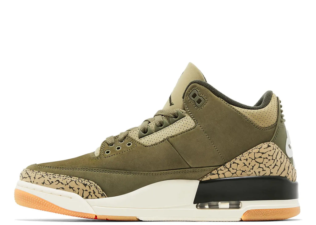 Nike Air Jordan 3 Retro Family Affair