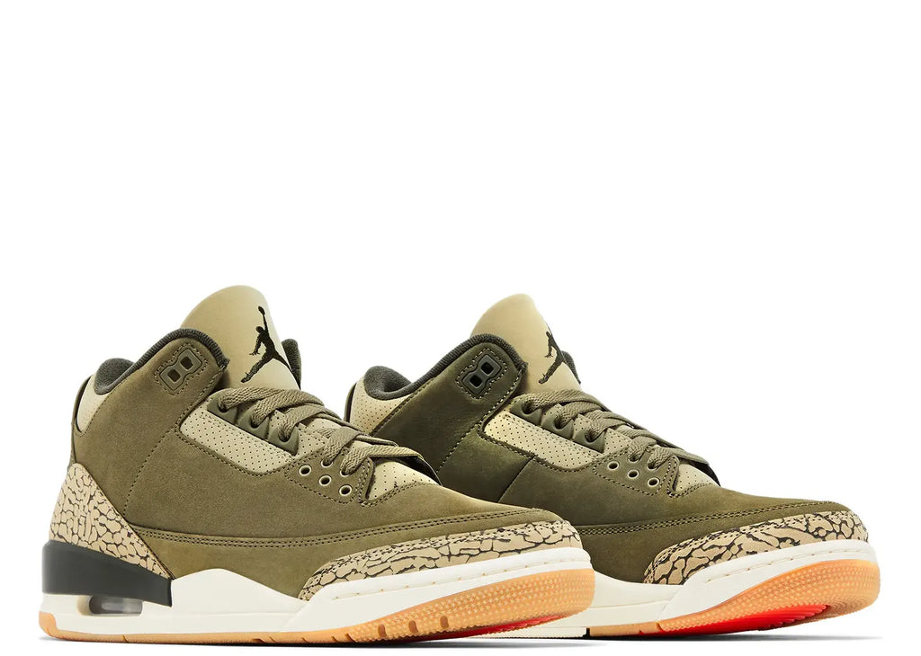 Nike Air Jordan 3 Retro Family Affair
