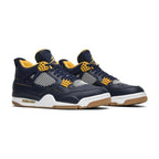 Nike Air Jordan 4 Retro Dunk From Above