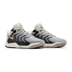 Nike KD 17 Light Iron Ore Metallic Gold