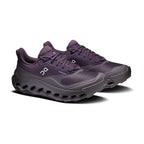 On Running Cloudhorizon 2 Waterproof Nocturne Pebble (W)