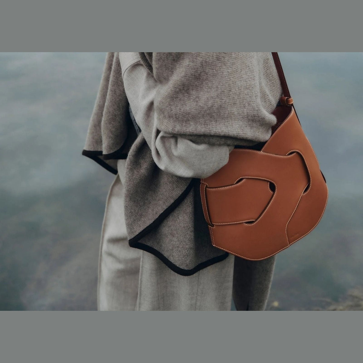 Polène Nodde Hobo Edition Smooth Cognac