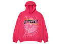 Sp 5 der P*nk Hoodie Pink