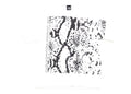 Stussy Snakeskin Tee White