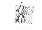 Stussy Snakeskin Tee White