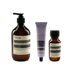 Aesop screen 3 - body care trio