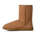 UGG Classic Short Boot Chestnut (M)